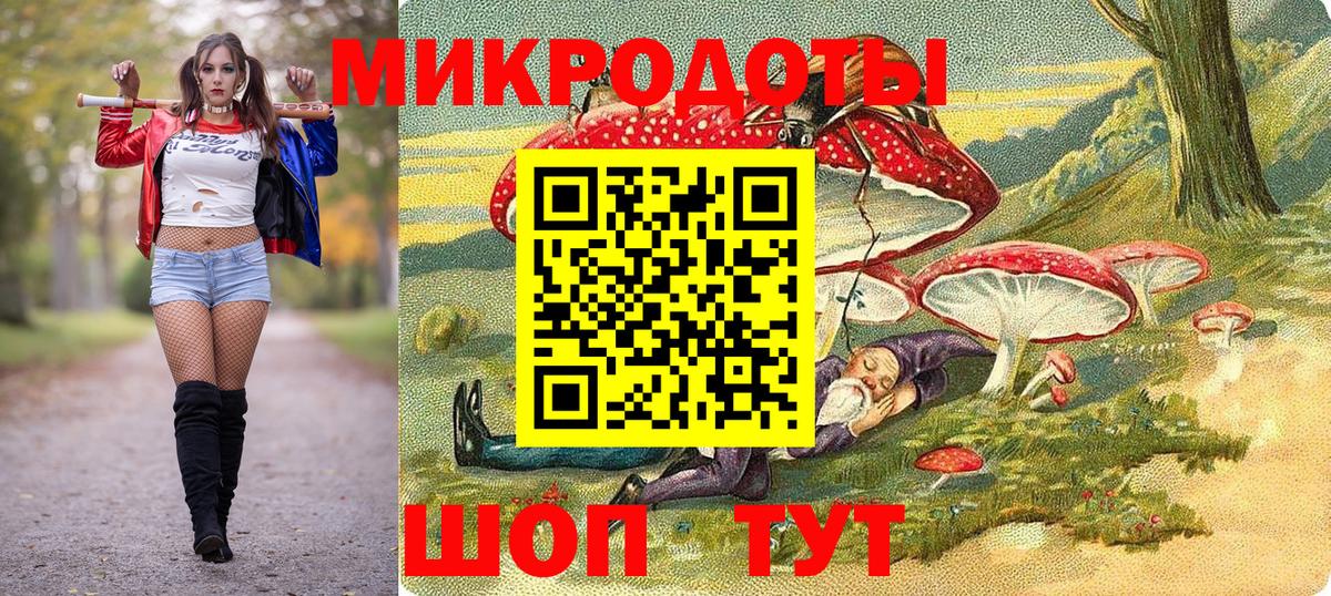 Галлюциногенные грибы Psilocybine cubensis  Вход с VPN  Кандалакша 