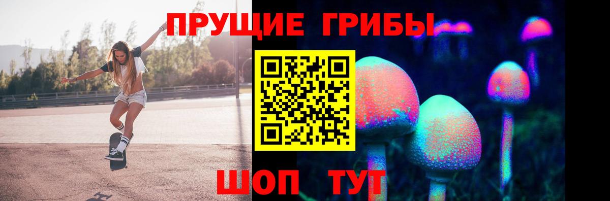 Галлюциногенные грибы Psilocybine cubensis Кандалакша